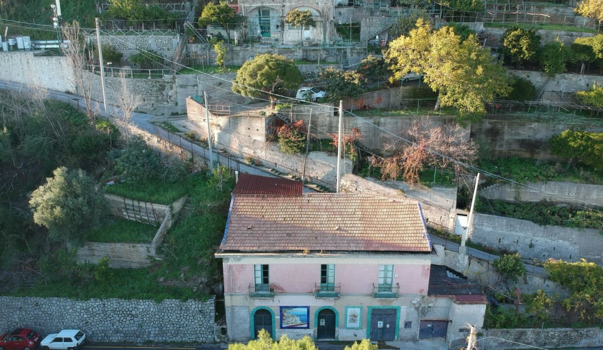 Immagine WhatsApp 2024-03-19 ore 20.52.03_58d42c38