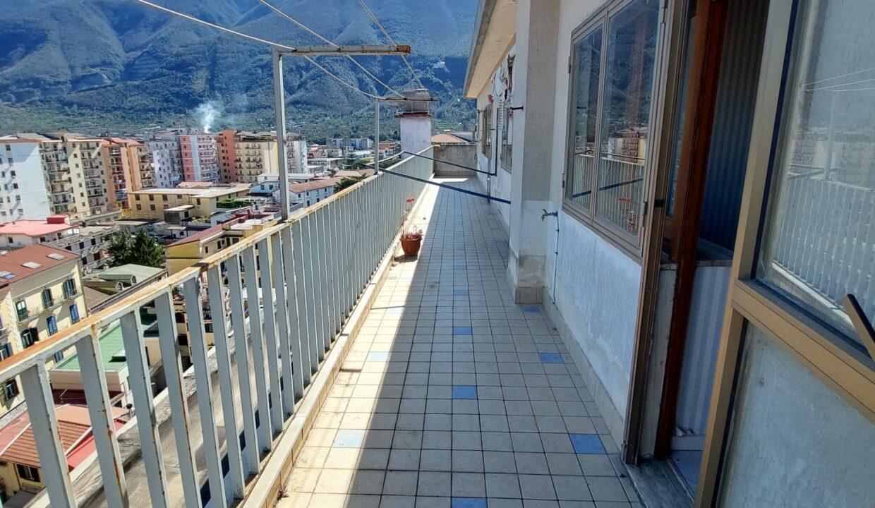 WhatsApp Image 2024-03-08 at 16.46.14 (3)