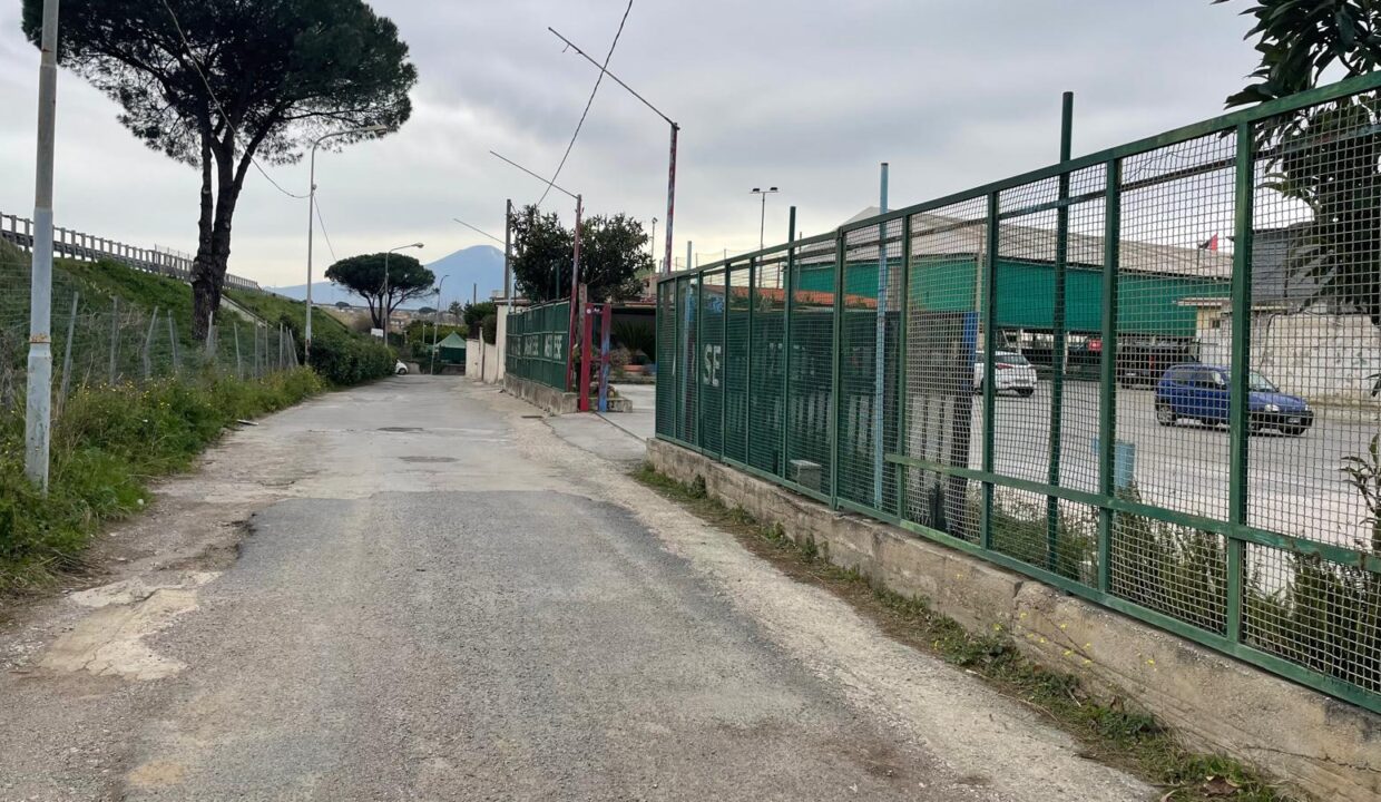 Immagine WhatsApp 2025-01-27 ore 10.09.22_a8d1199d