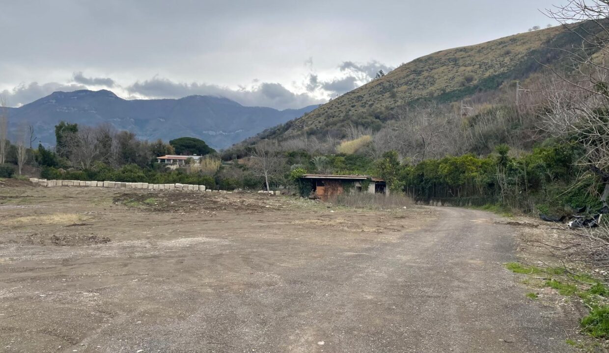 Immagine WhatsApp 2025-01-27 ore 10.09.23_56ebc8b8