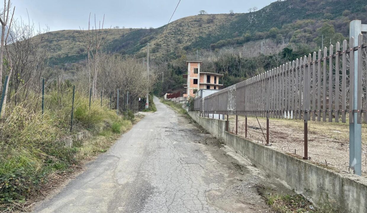 Immagine WhatsApp 2025-01-27 ore 10.09.23_ee75c93f