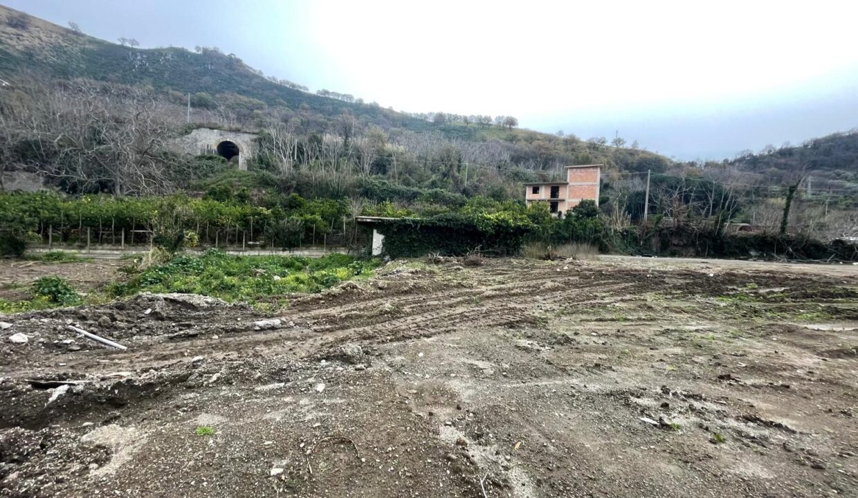 Immagine WhatsApp 2025-01-27 ore 10.09.24_b839ffcf