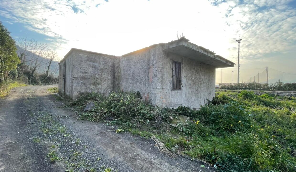 Immagine WhatsApp 2025-02-11 ore 16.00.00_02755b7b