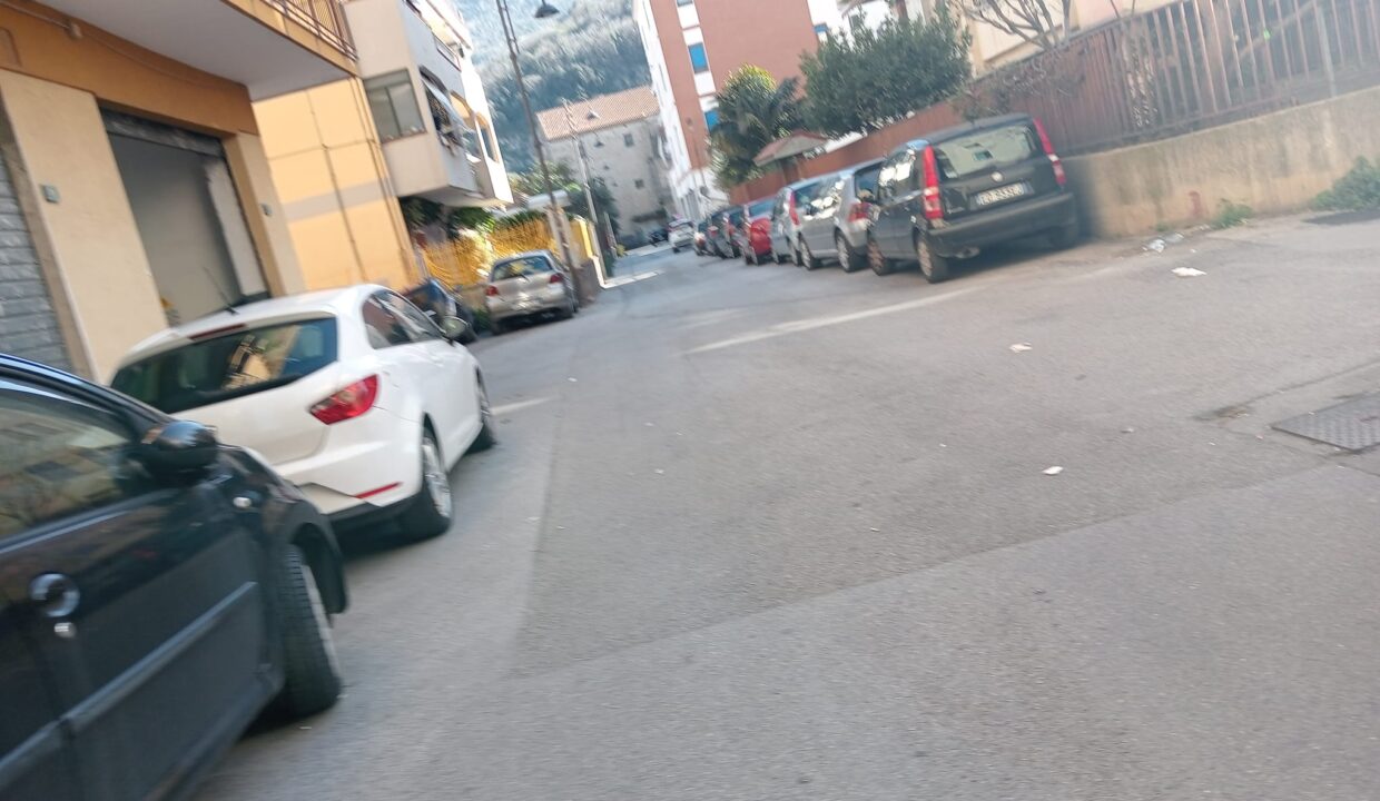 Immagine WhatsApp 2025-03-19 ore 16.30.53_a4666ca2