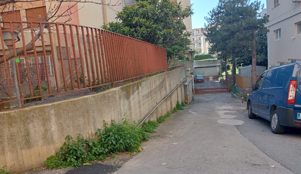 Immagine WhatsApp 2025-03-19 ore 16.30.54_109049f3