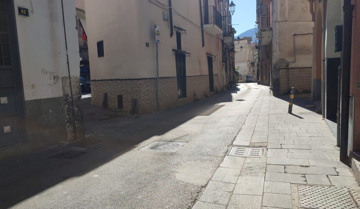 Immagine WhatsApp 2025-03-19 ore 16.35.02_9d830297
