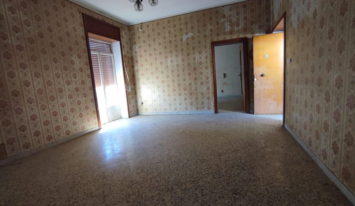 Immagine WhatsApp 2025-03-19 ore 16.35.03_5d61cd0f