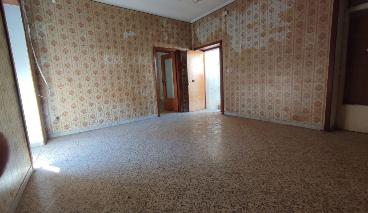 Immagine WhatsApp 2025-03-19 ore 16.35.03_82c4934f