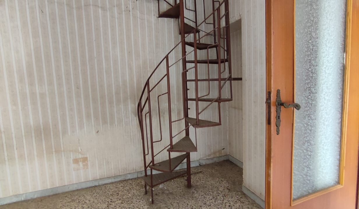 Immagine WhatsApp 2025-03-19 ore 16.35.03_bf2ce864