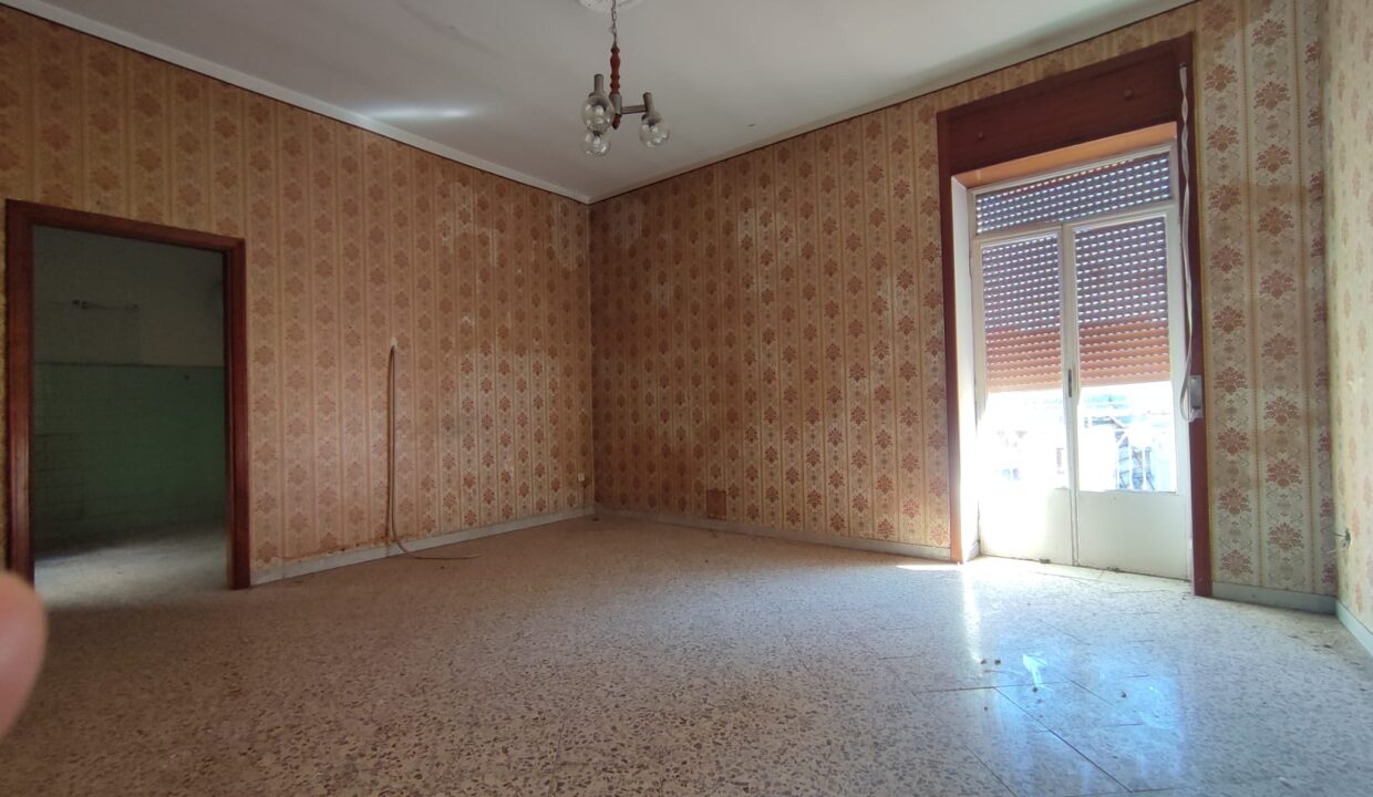 Immagine WhatsApp 2025-03-19 ore 16.35.03_d75eb8aa