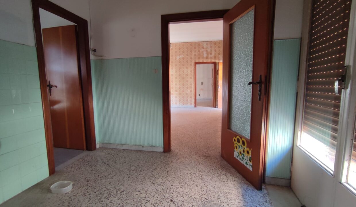 Immagine WhatsApp 2025-03-19 ore 16.35.03_e29d025d