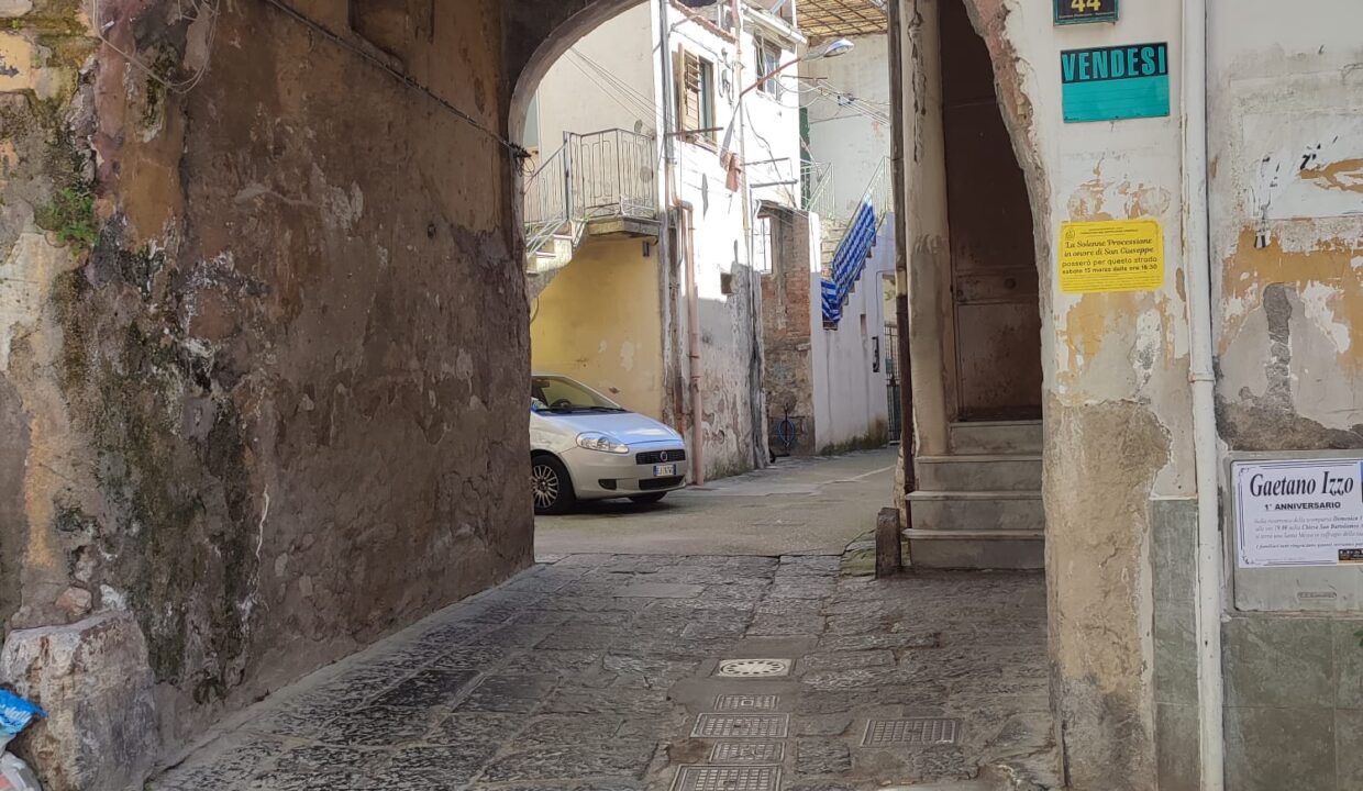 Immagine WhatsApp 2025-03-19 ore 16.35.04_617a6ba3