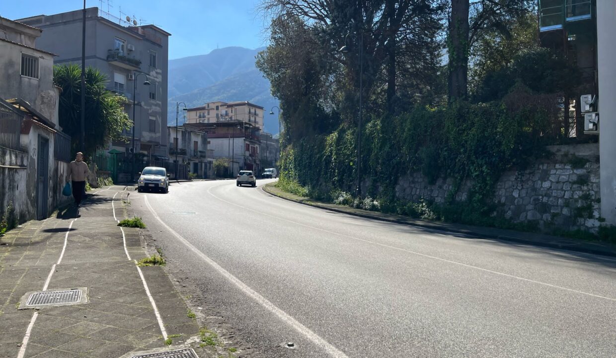 Immagine WhatsApp 2025-03-25 ore 15.49.37_241cf731