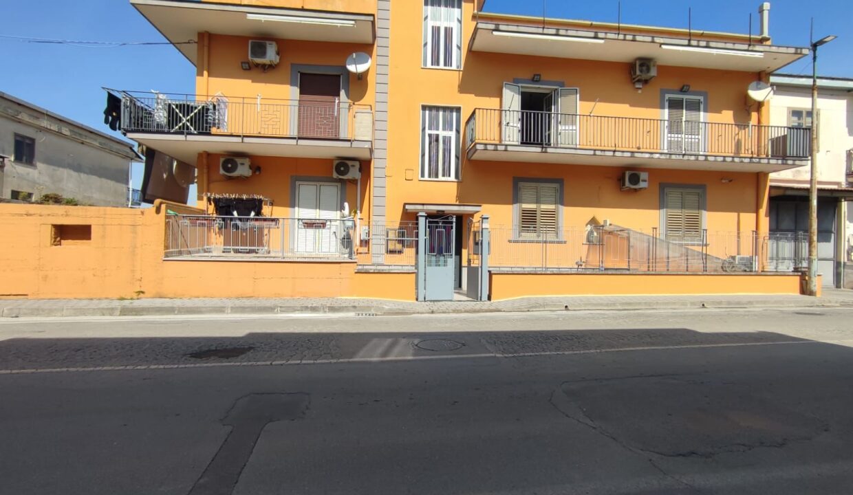 Immagine WhatsApp 2025-03-25 ore 18.48.43_decaf840
