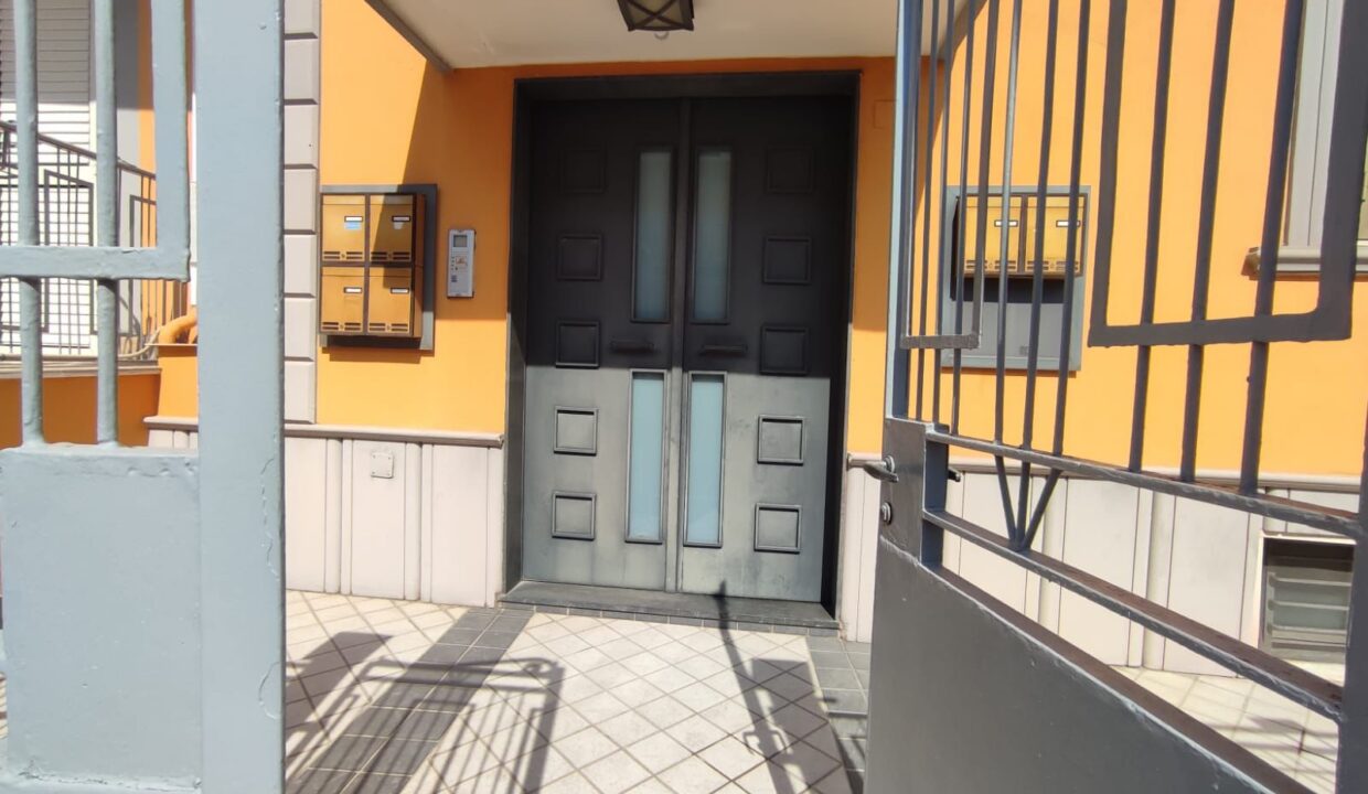 Immagine WhatsApp 2025-03-25 ore 18.48.44_289fd4d7