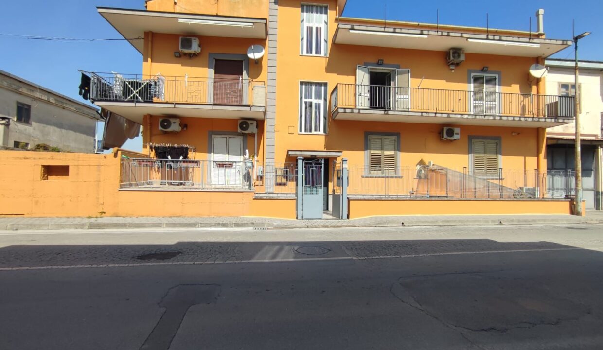 Immagine WhatsApp 2025-03-25 ore 18.48.44_8aa80394