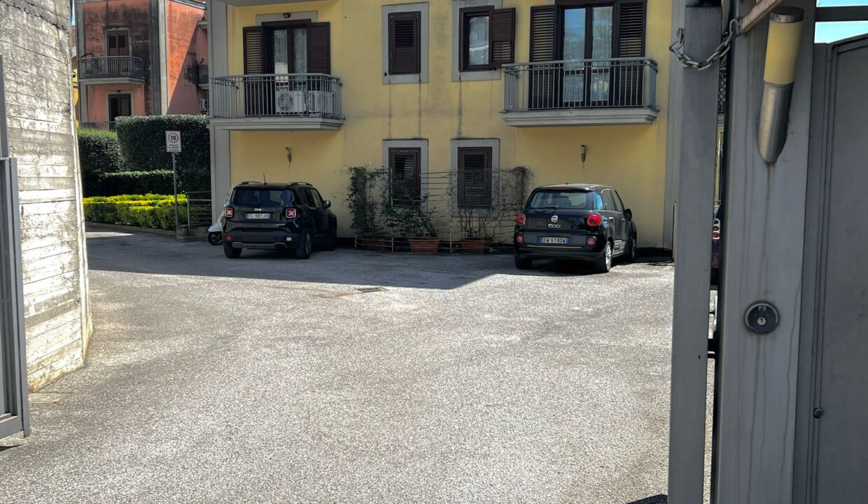Immagine WhatsApp 2025-04-10 ore 10.35.02_38d31bbf