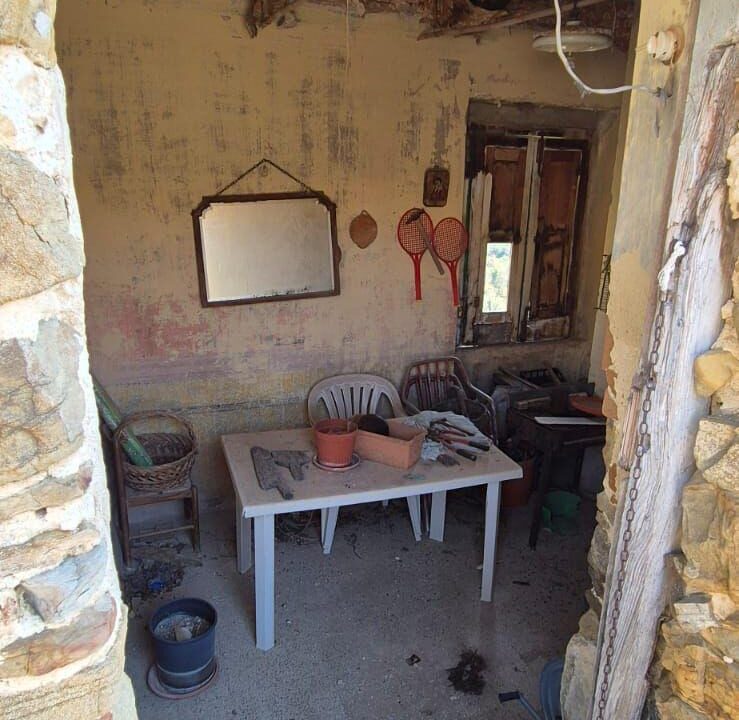 Immagine WhatsApp 2025-04-10 ore 15.46.30_517ab4bd