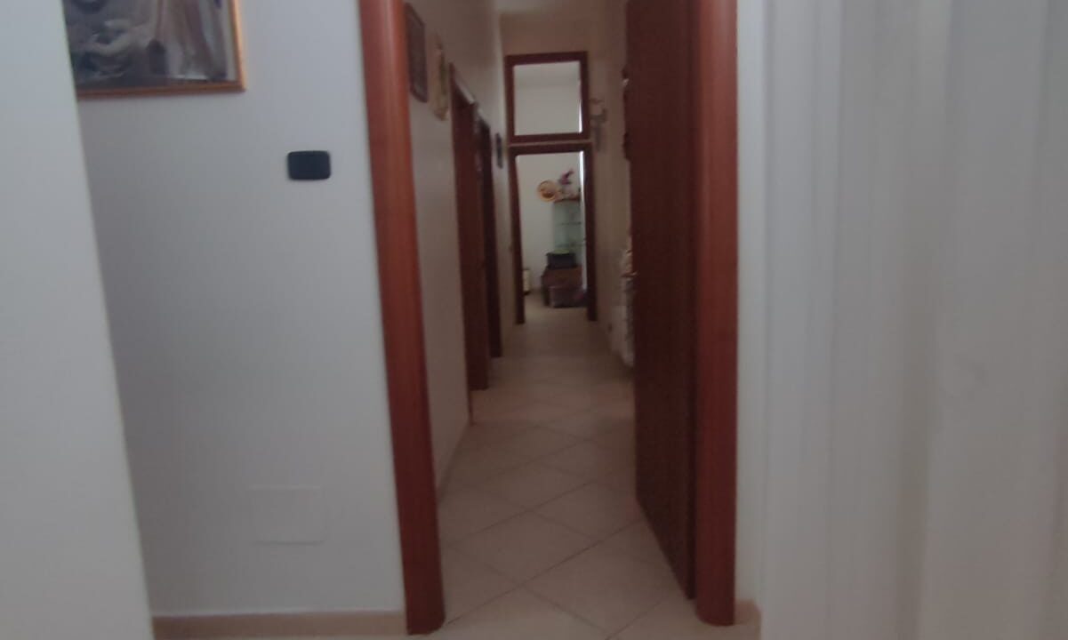 Immagine WhatsApp 2025-04-17 ore 17.17.24_8417bb08