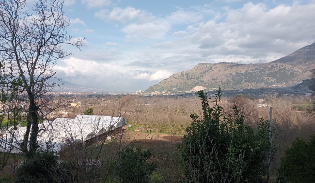 Immagine WhatsApp 2025-04-28 ore 17.07.03_9083fd4c