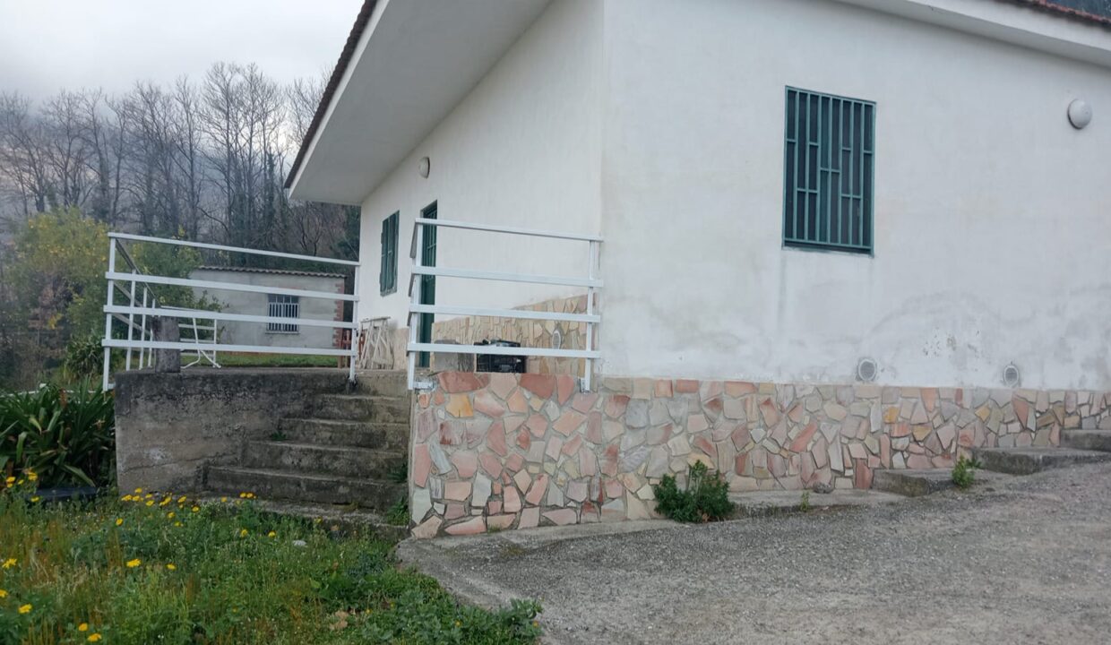 Immagine WhatsApp 2025-04-28 ore 17.07.04_2d18c6fb