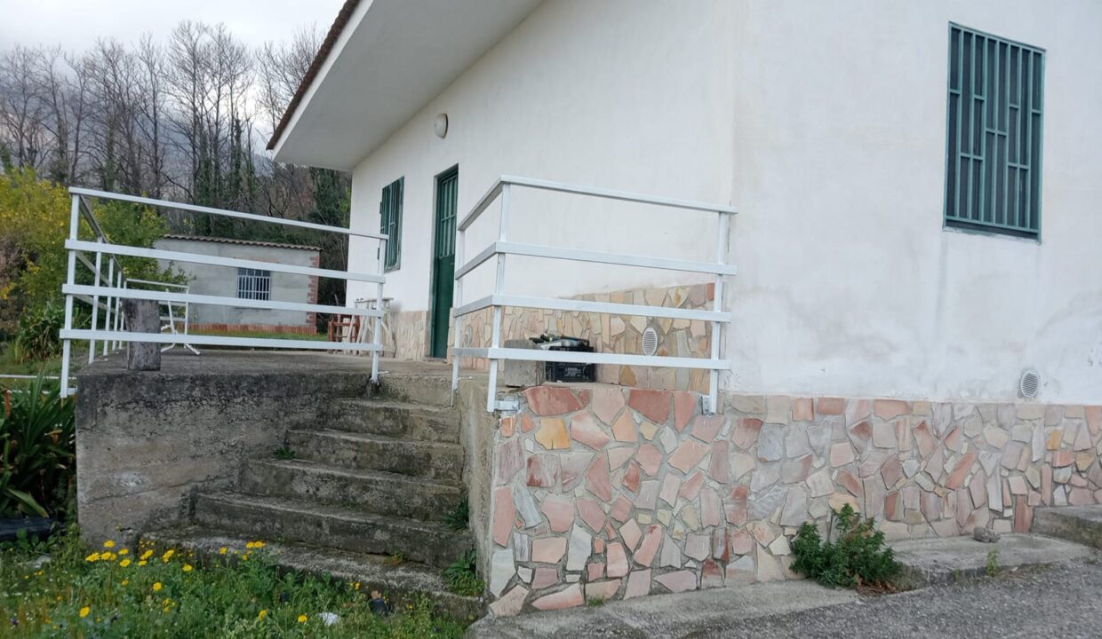Immagine WhatsApp 2025-04-28 ore 17.07.04_47023bf5